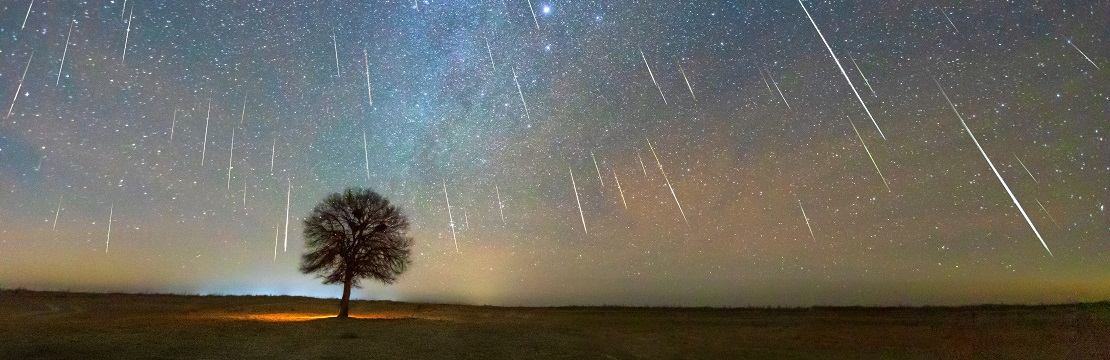 Image of a nighttime landscape with a tree in a field and a starry, nebulous sky.